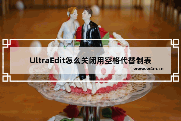 UltraEdit怎么关闭用空格代替制表符