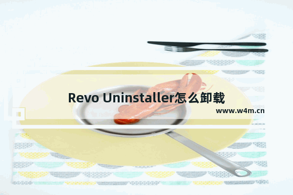 Revo Uninstaller怎么卸载软件