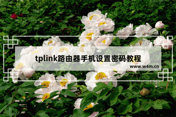 tplink路由器手机设置密码教程