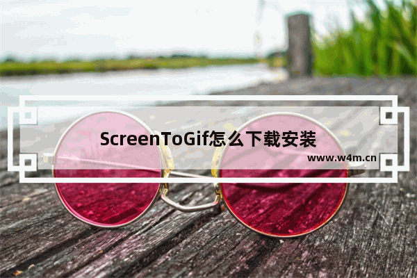 ScreenToGif怎么下载安装