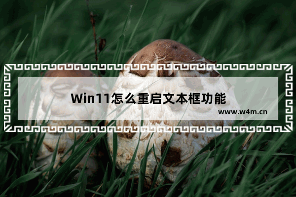 Win11怎么重启文本框功能