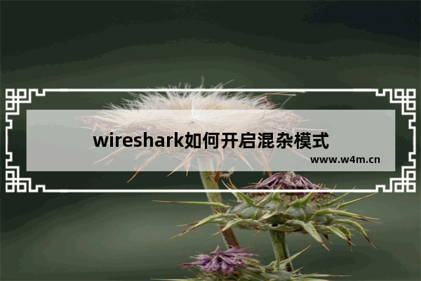 wireshark如何开启混杂模式