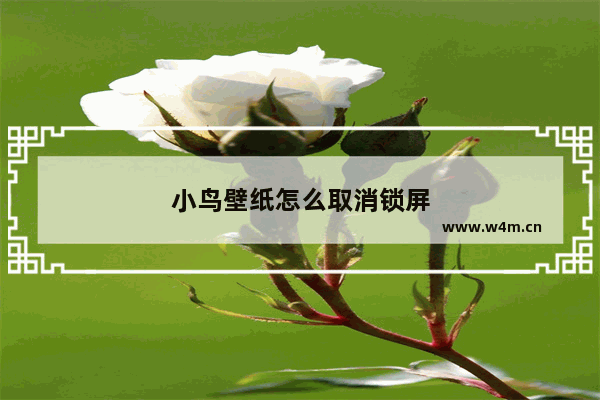 小鸟壁纸怎么取消锁屏