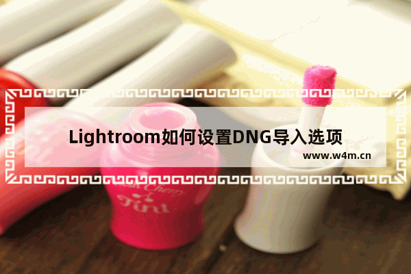 Lightroom如何设置DNG导入选项