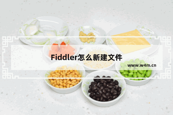 Fiddler怎么新建文件