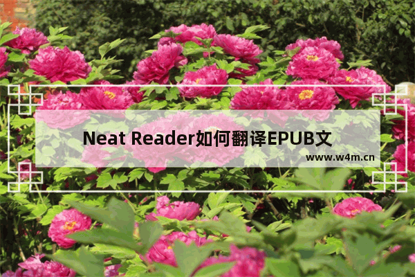 Neat Reader如何翻译EPUB文档中的英文