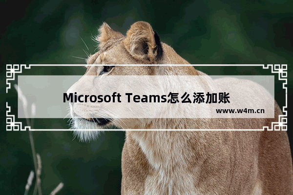 Microsoft Teams怎么添加账户