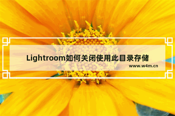 Lightroom如何关闭使用此目录存储预设