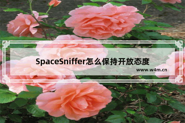 SpaceSniffer怎么保持开放态度