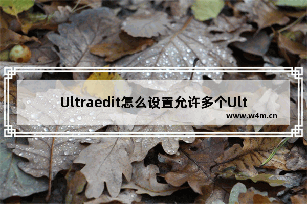 Ultraedit怎么设置允许多个Ultraedit