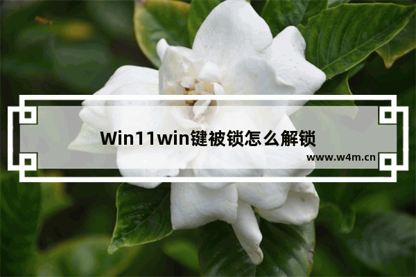 Win11win键被锁怎么解锁