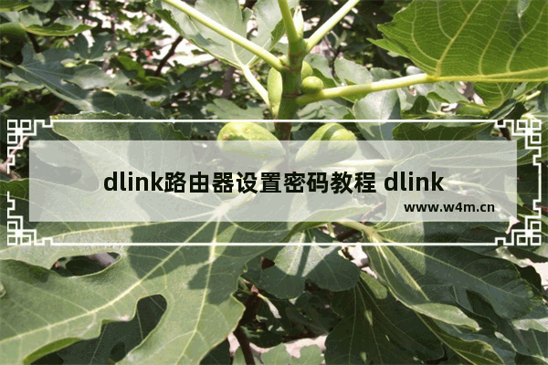 dlink路由器设置密码教程 dlink路由器密码修改