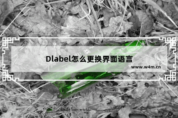 Dlabel怎么更换界面语言