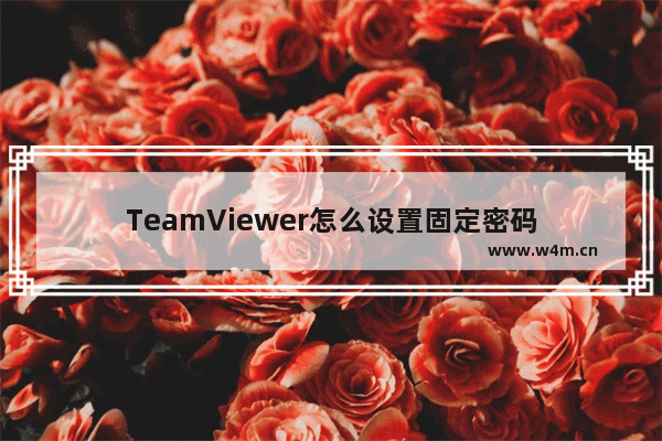 TeamViewer怎么设置固定密码