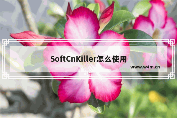 SoftCnKiller怎么使用