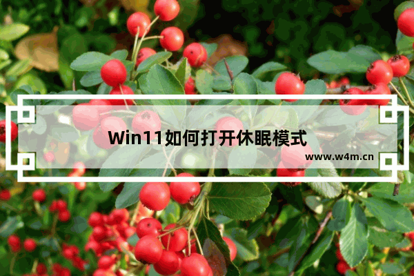 Win11如何打开休眠模式