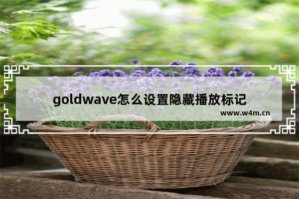 goldwave怎么设置隐藏播放标记