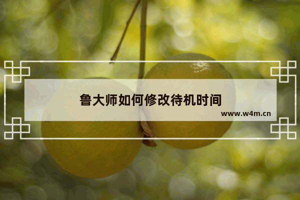 鲁大师如何修改待机时间