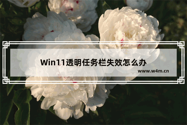 Win11透明任务栏失效怎么办