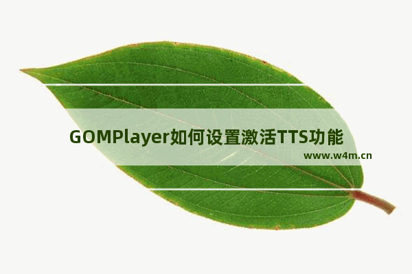 GOMPlayer如何设置激活TTS功能后用声音提示