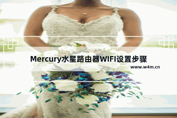 Mercury水星路由器WIFI设置步骤