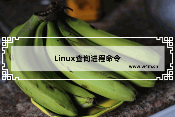 Linux查询进程命令