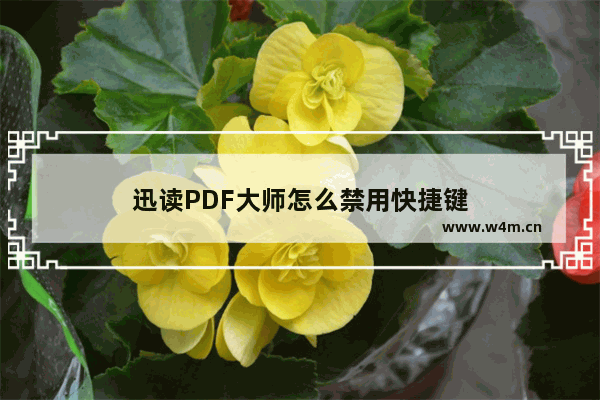 迅读PDF大师怎么禁用快捷键