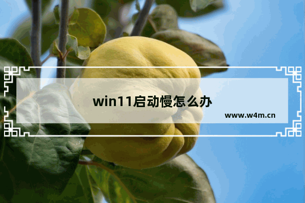 win11启动慢怎么办