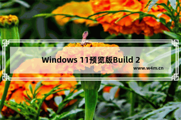 Windows 11预览版Build 25295更新内容介绍