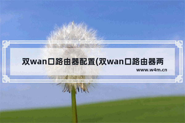 双wan口路由器配置(双wan口路由器两个网络设置)