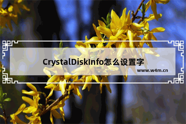 CrystalDiskInfo怎么设置字体