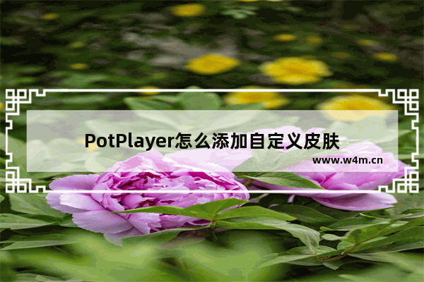 PotPlayer怎么添加自定义皮肤