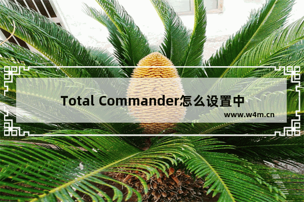 Total Commander怎么设置中文