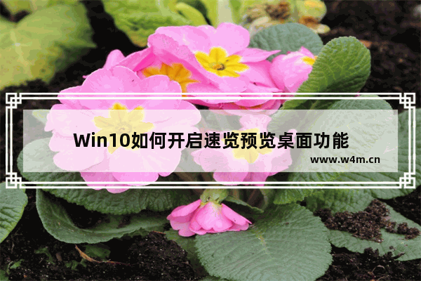 Win10如何开启速览预览桌面功能