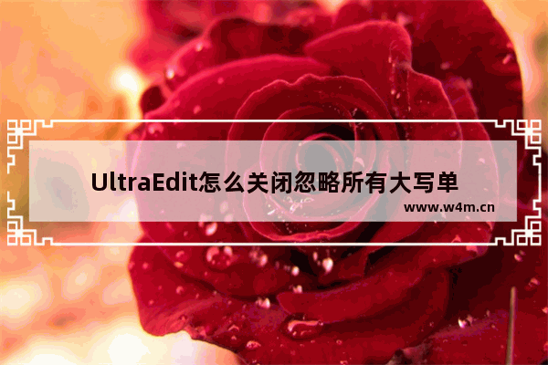 UltraEdit怎么关闭忽略所有大写单词