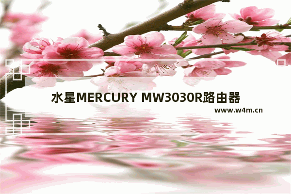 水星MERCURY MW3030R路由器设置上网方法