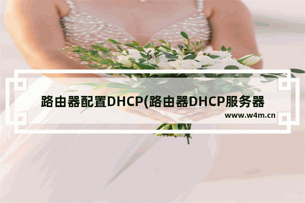 路由器配置DHCP(路由器DHCP服务器设置)