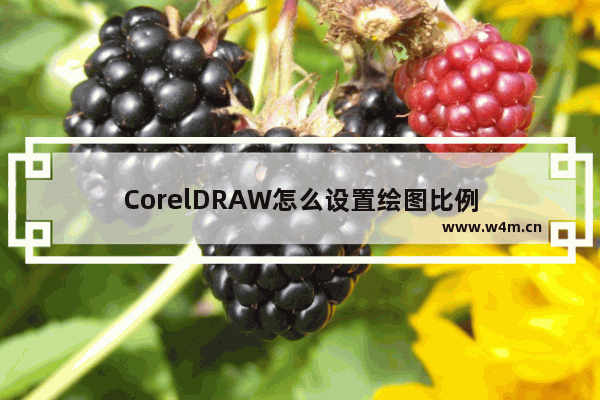 CorelDRAW怎么设置绘图比例