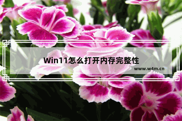 Win11怎么打开内存完整性