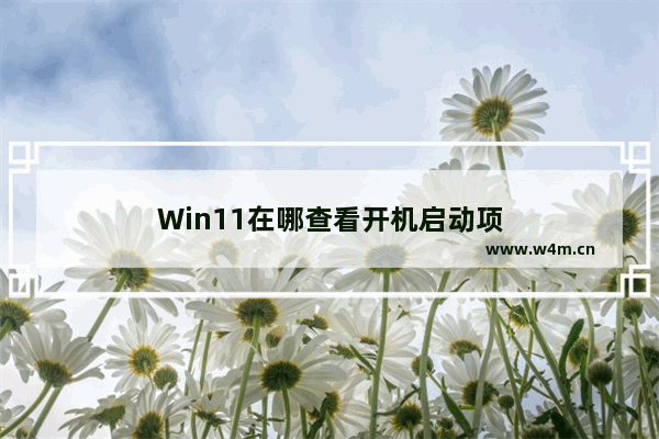 Win11在哪查看开机启动项