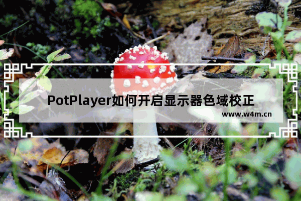 PotPlayer如何开启显示器色域校正ICC