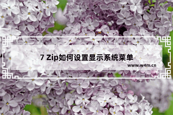 7 Zip如何设置显示系统菜单