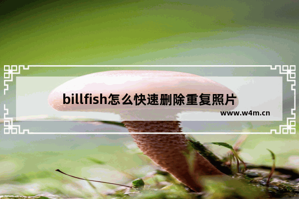 billfish怎么快速删除重复照片