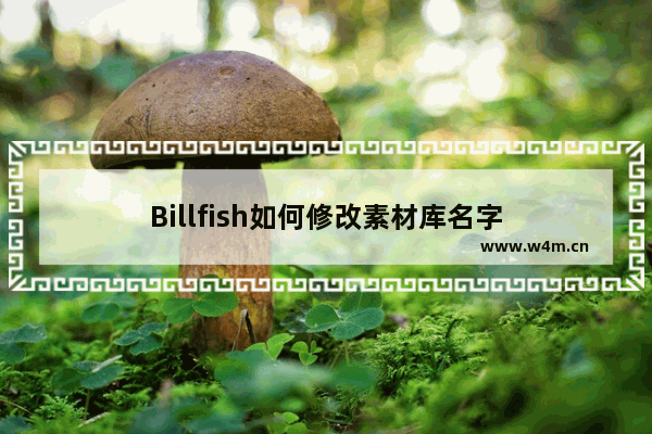 Billfish如何修改素材库名字