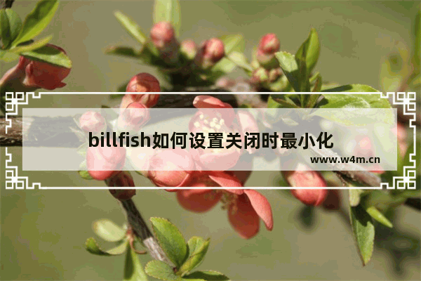 billfish如何设置关闭时最小化