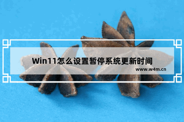 Win11怎么设置暂停系统更新时间