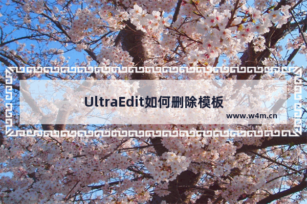 UltraEdit如何删除模板