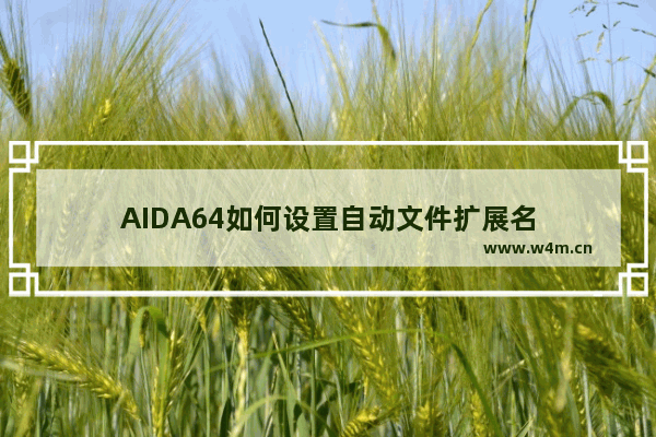 AIDA64如何设置自动文件扩展名