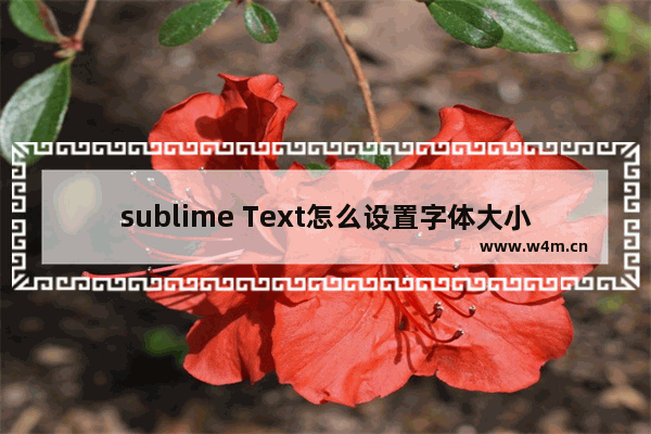 sublime Text怎么设置字体大小