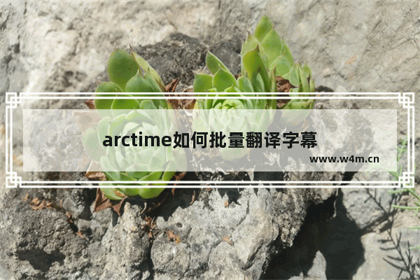 arctime如何批量翻译字幕